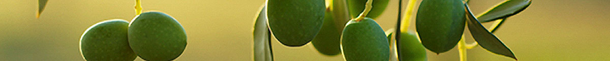 PV-Recipe-Banner-Green-Olives-lg